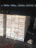 QUADROTTI DI FAGGIO CM. 5 X 5 X 50